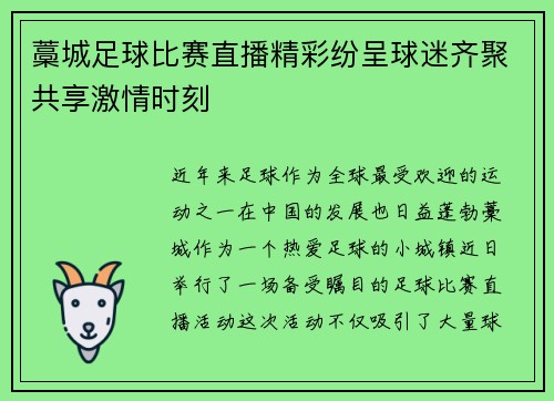 藁城足球比赛直播精彩纷呈球迷齐聚共享激情时刻
