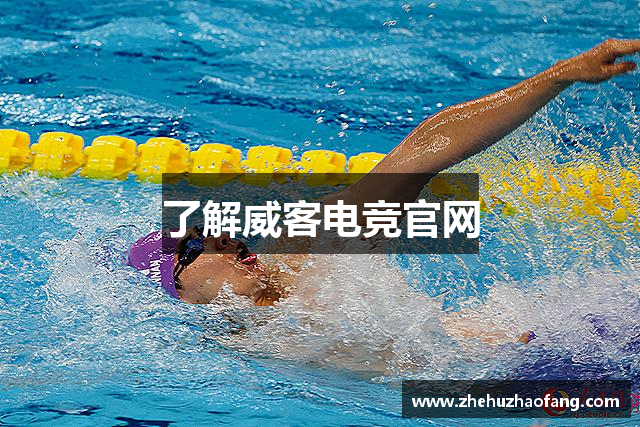 了解威客电竞官网