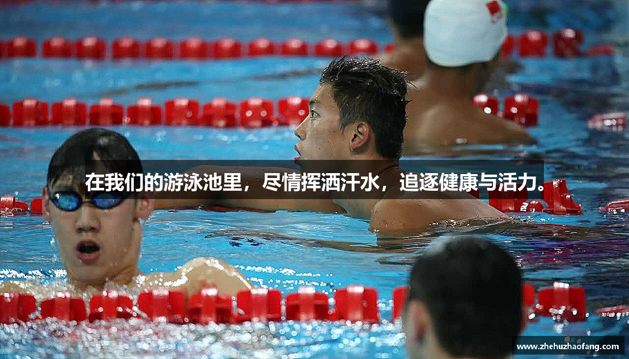 在我们的游泳池里，尽情挥洒汗水，追逐健康与活力。